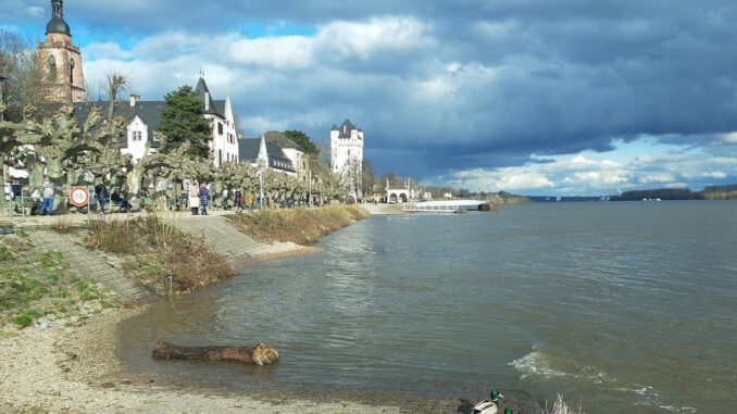 Eltville erneuert historisches Geländer am Rheinufer und verbindet Denkmalpflege mit aktuellen Sicherheitsanforderungen